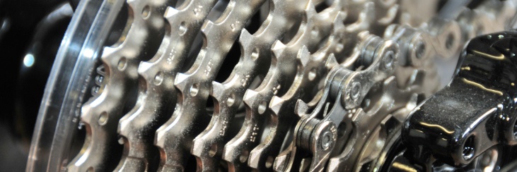 Wie beständig ist die Qualität?